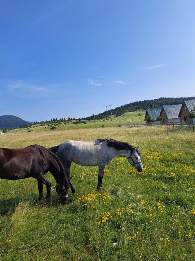 Vule Bungalovi Žabljak Exterior foto